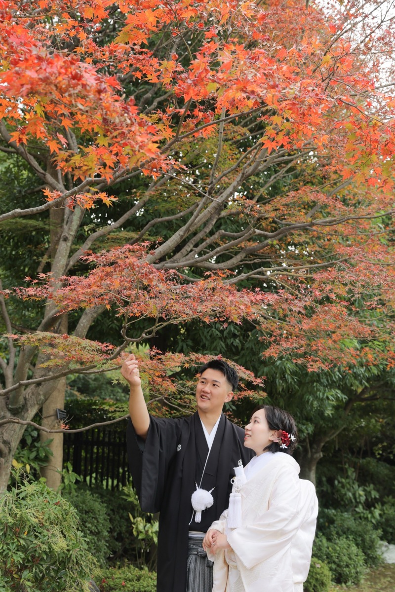 メインの紅葉!