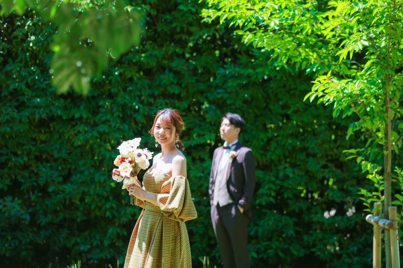 まるで緑の壁のよう。