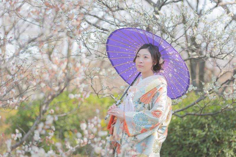 梅咲いてます(^^)