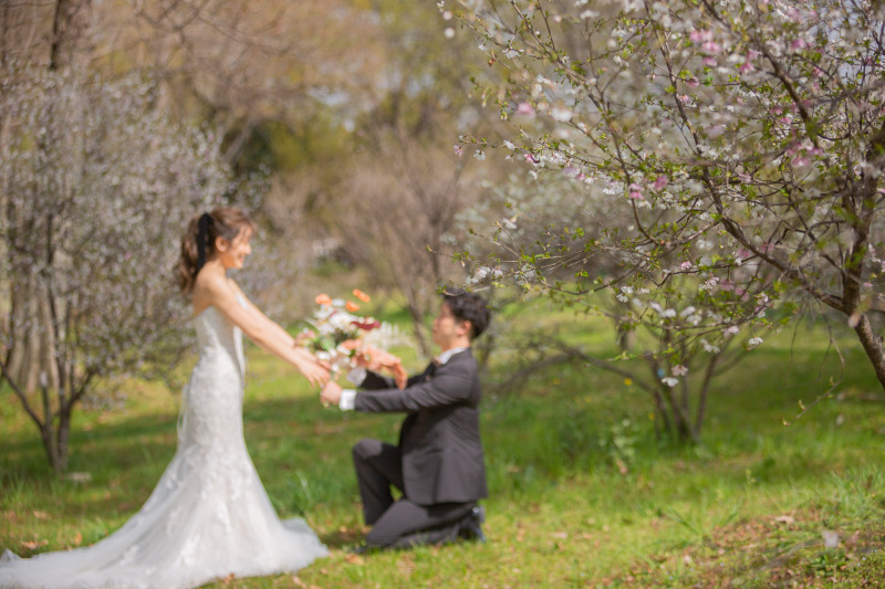 プロポーズ大成功!