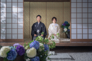 あじさい始めました。