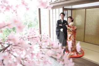 和装室内庭園！