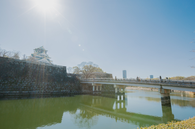 お天気の良い晴れた日には。。。