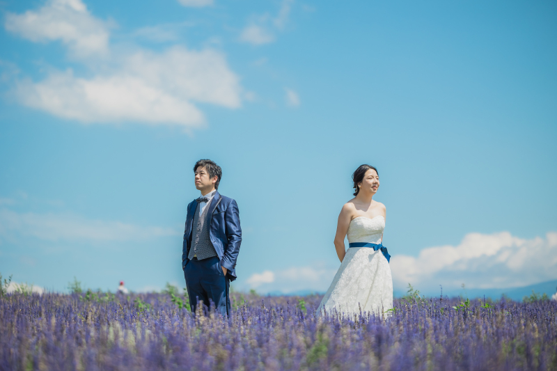 ブルーサルビア