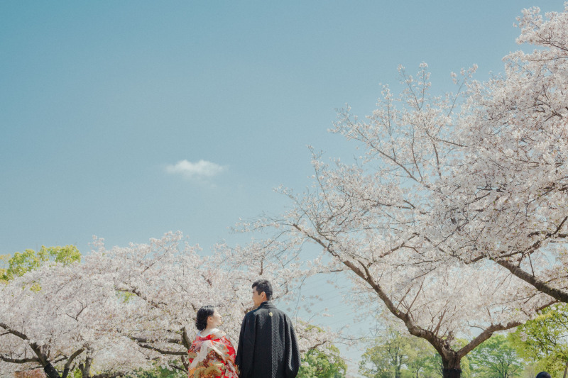 さくらと後ろ姿