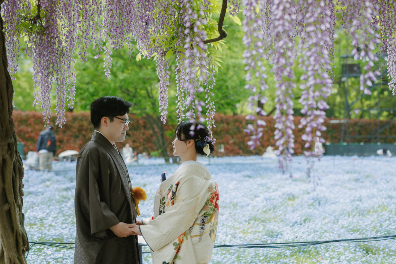 藤の花