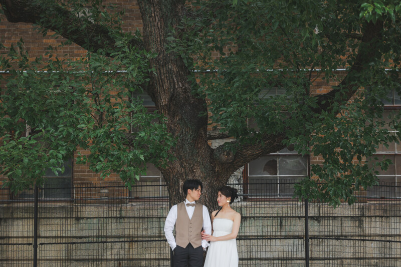 大きな木の下で