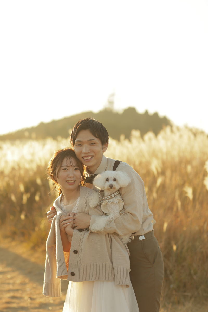 わんちゃんも登場!