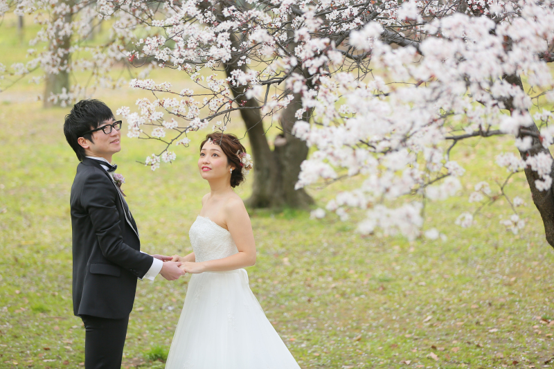 見上げれば、春。