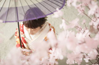 室内はいつでも満開♡