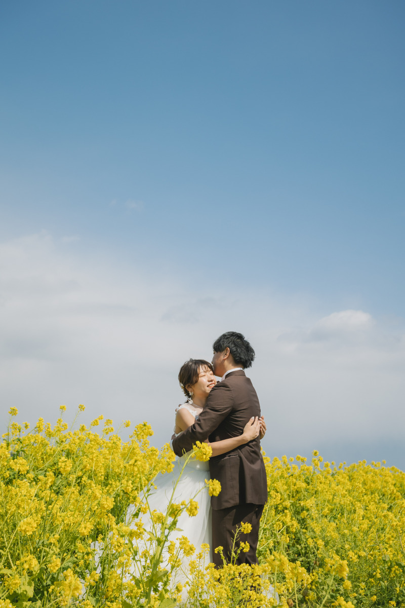 菜の花に囲まれて