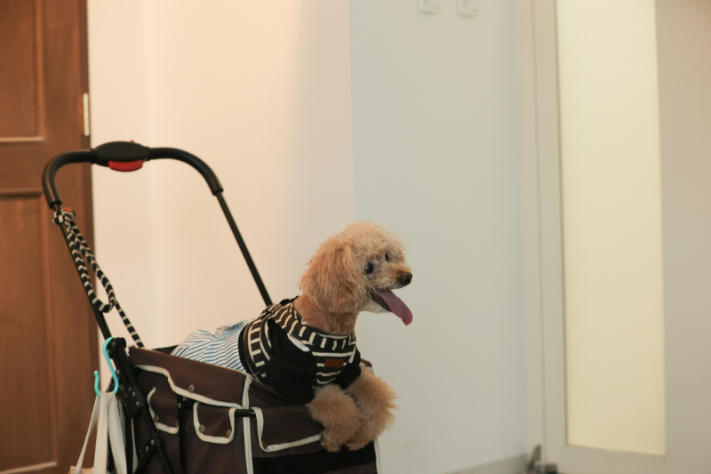 撮影開始を待つ