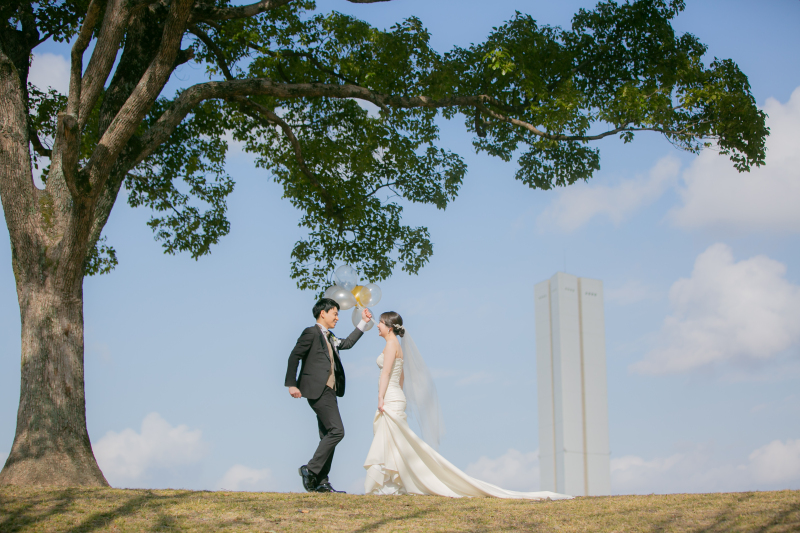 ロケーション場所に大きな木が・・・