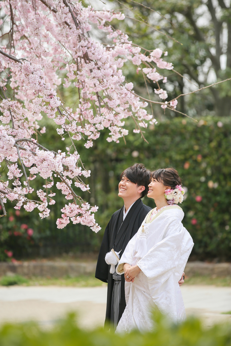 大人気の桜フォト☆これからがシーズンですよ!