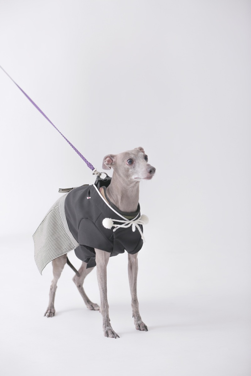 ワンちゃんソロカット…?