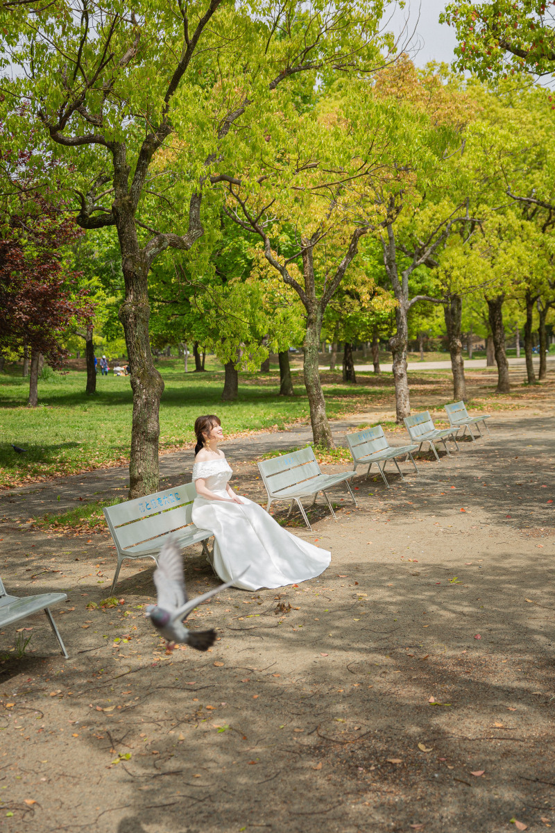 鳩がハッとした