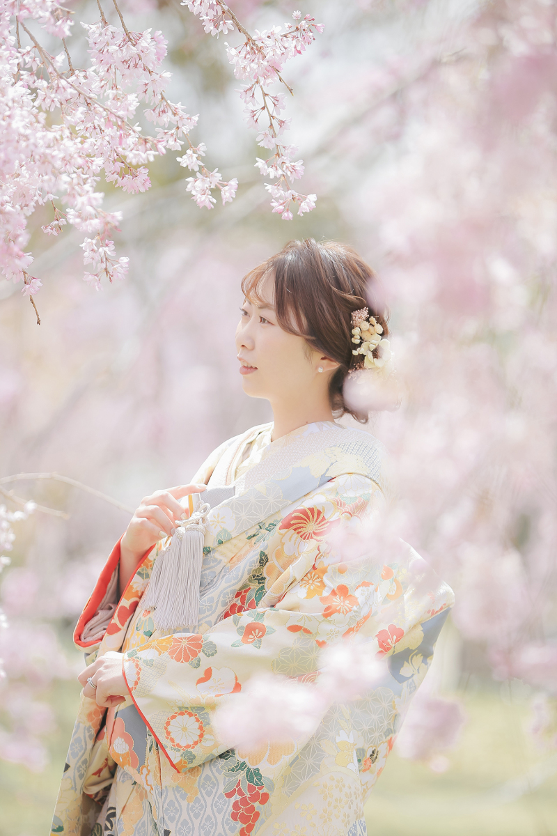 桜の中で
