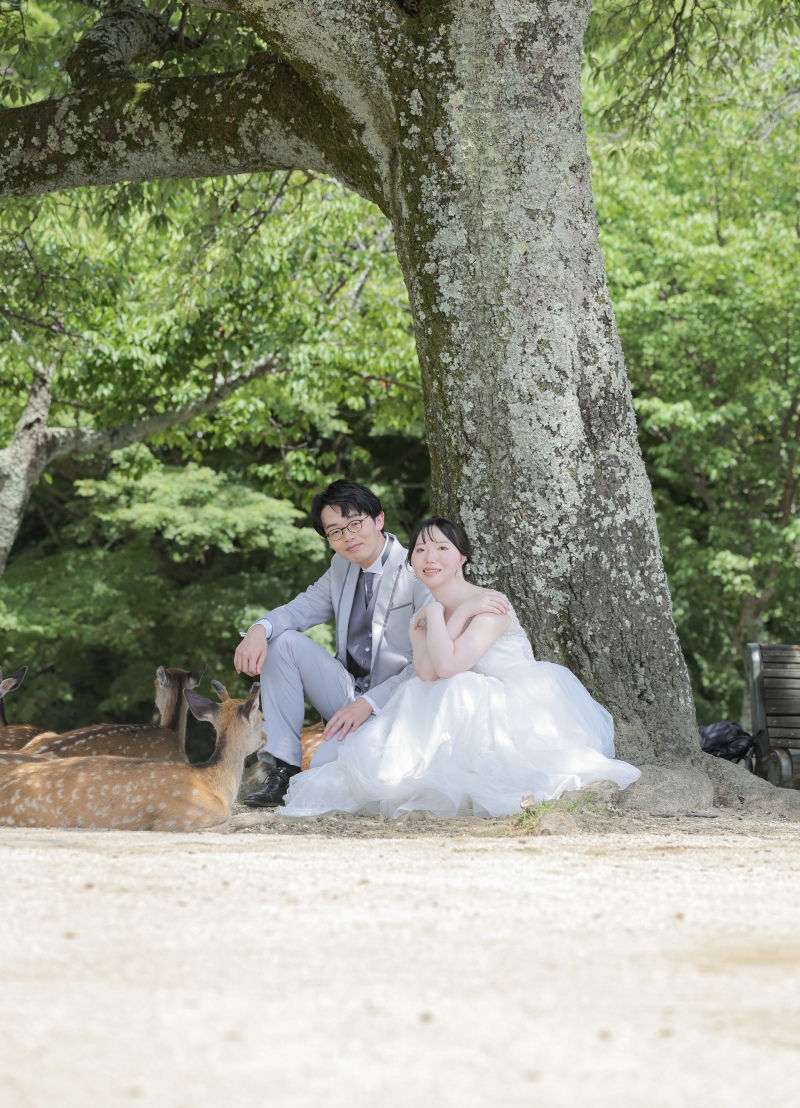 いかがでしたか?