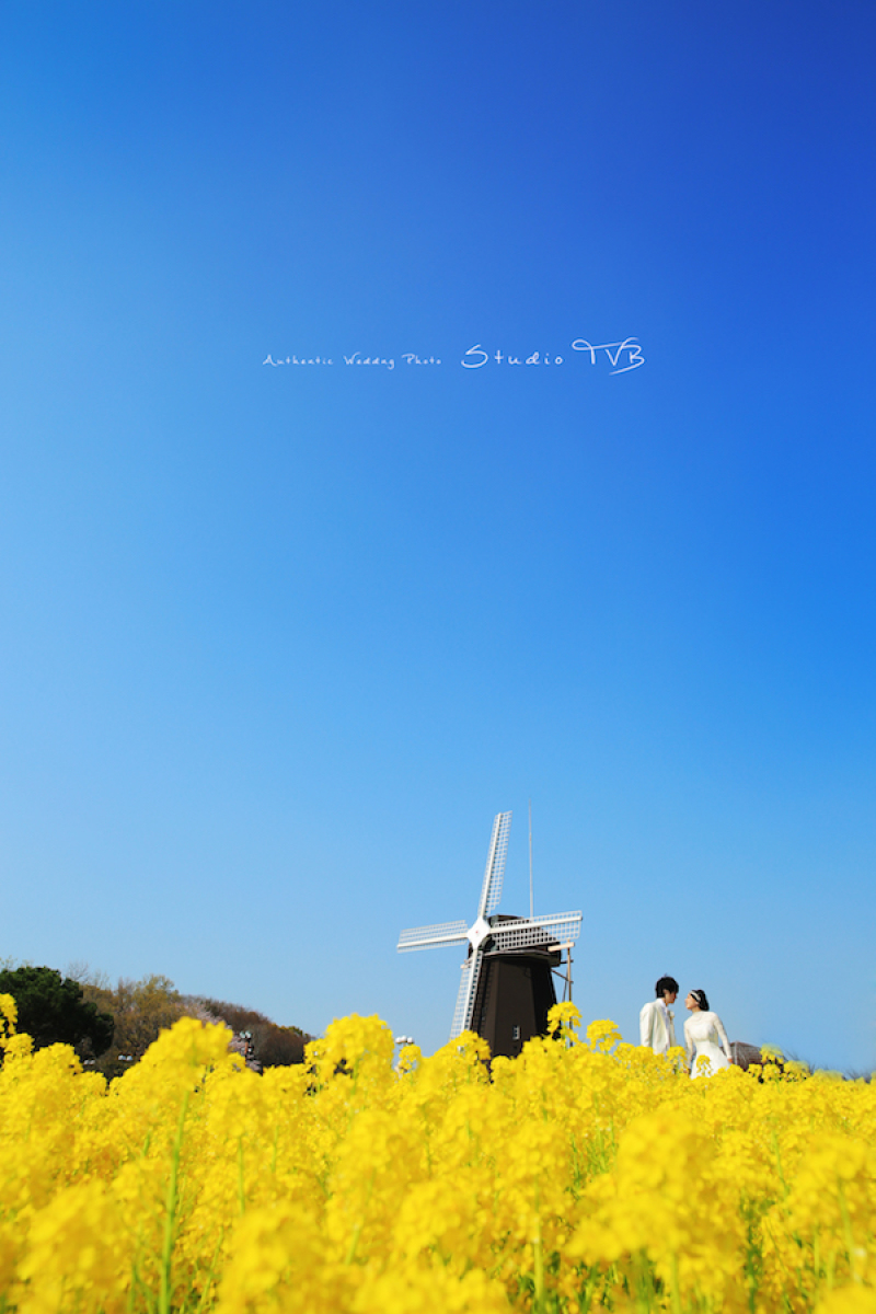 菜の花と青い空と二人と