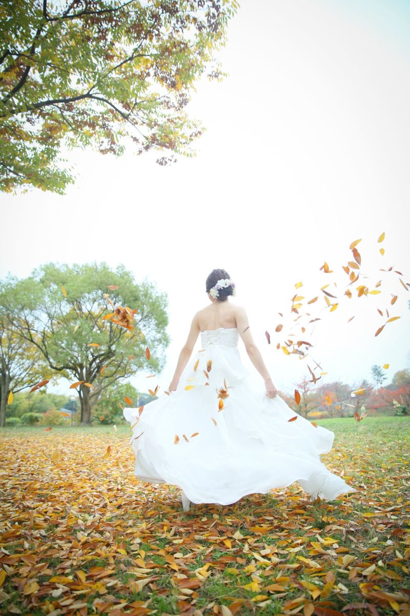 ふわりと落ち葉が舞いました！