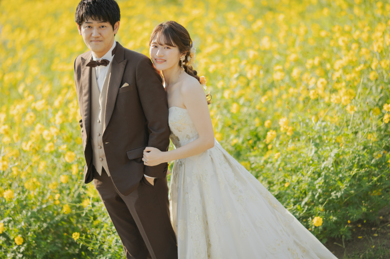 黄色のコスモス!