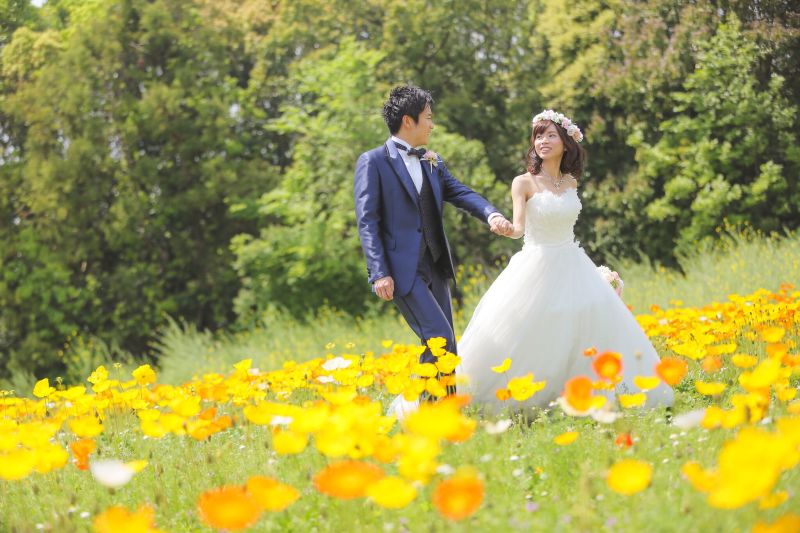 快晴！ポピー満開！