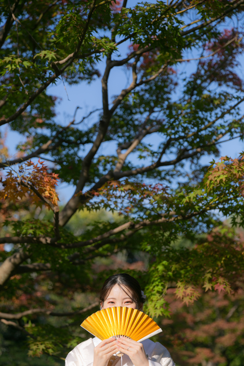 扇子からちらっと