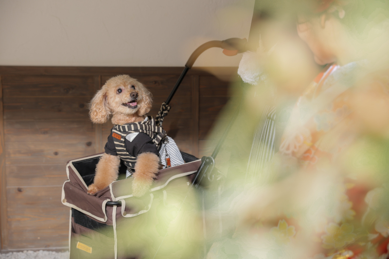 お二人の方を見てにっこり