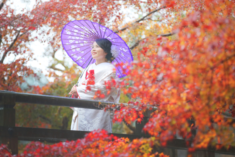 真っ赤な紅葉と！