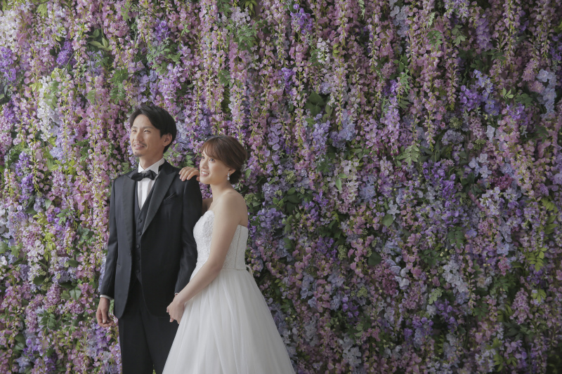 一面藤の花
