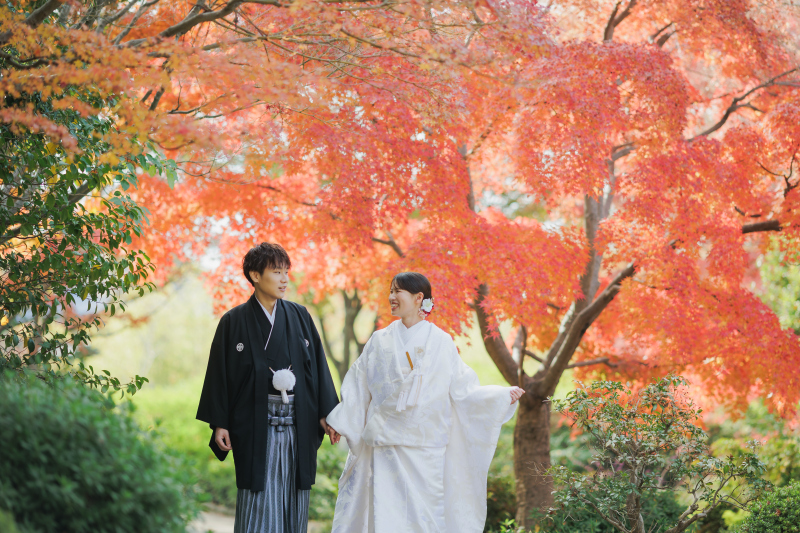 真っ赤に色づいた紅葉