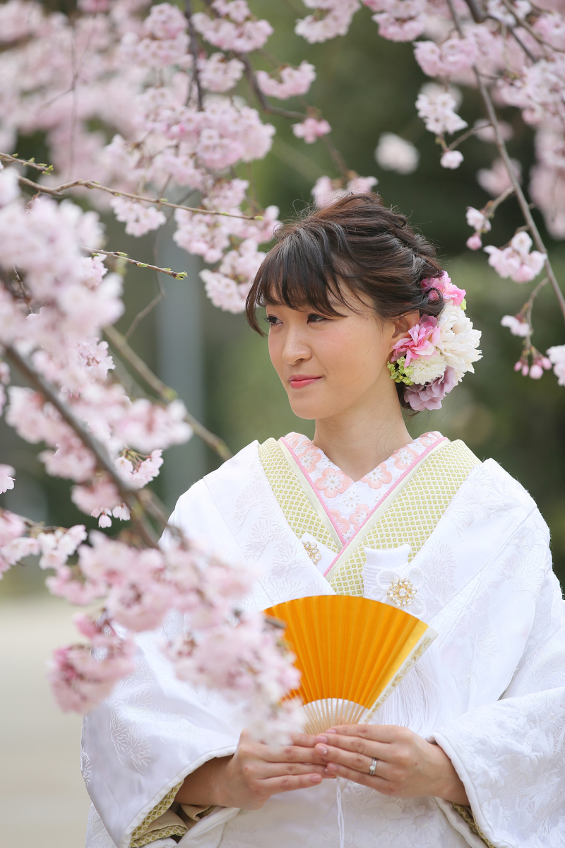 桜に囲まれて…