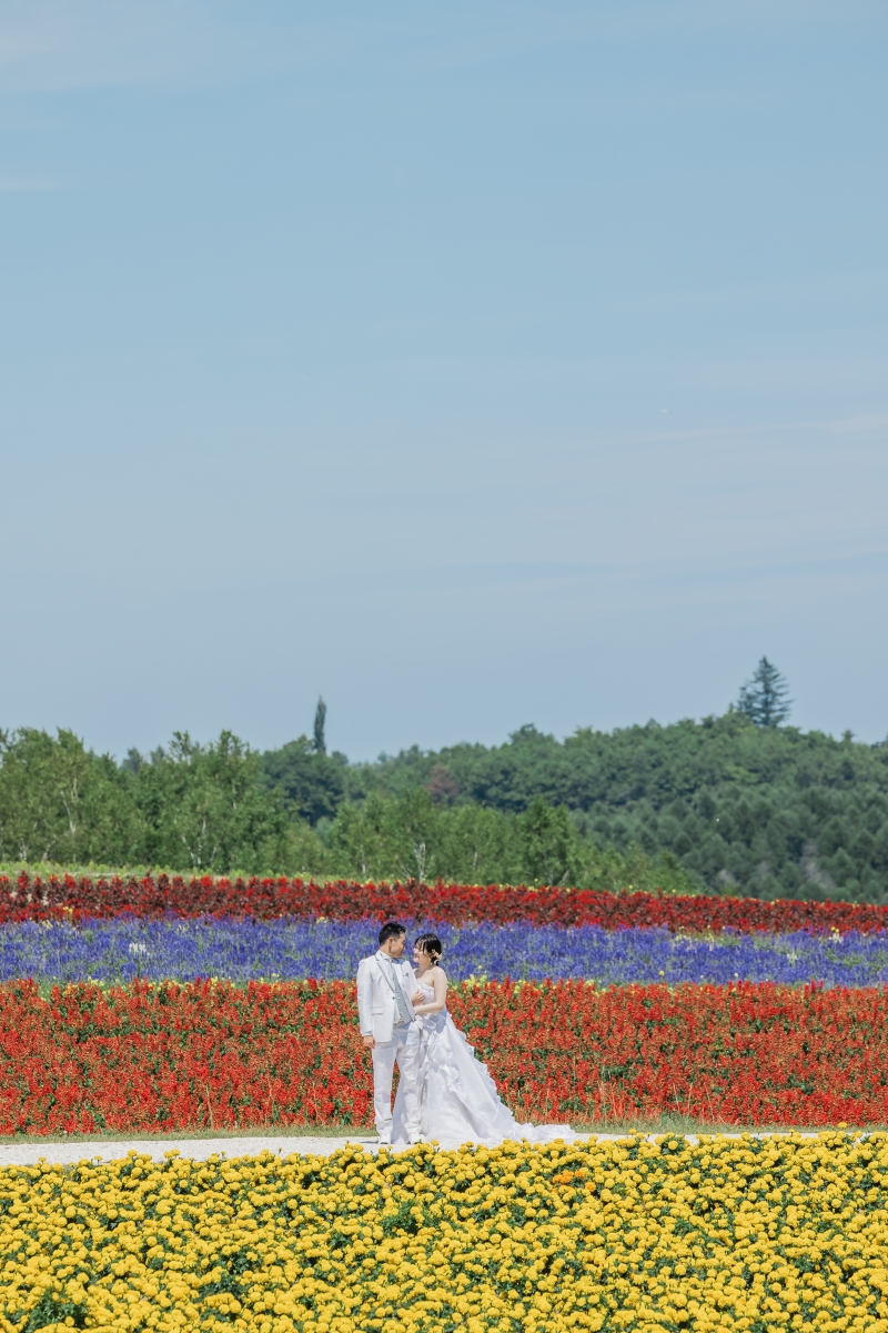 広大な花畑の感じ!