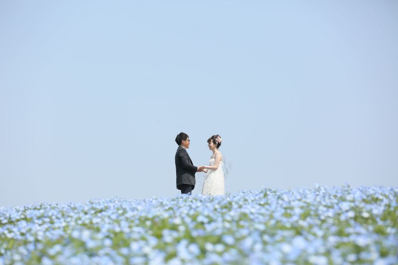 憧れのお花畑♡