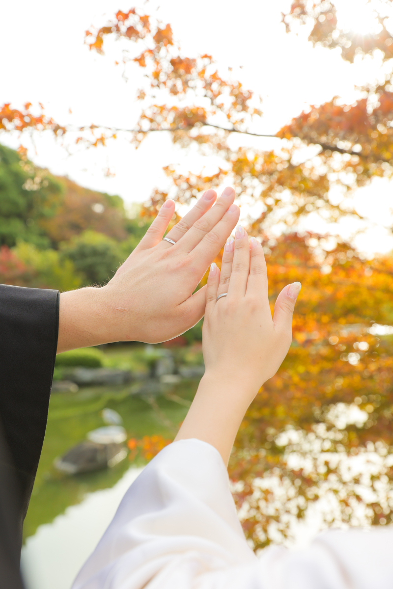 紅葉と日の光