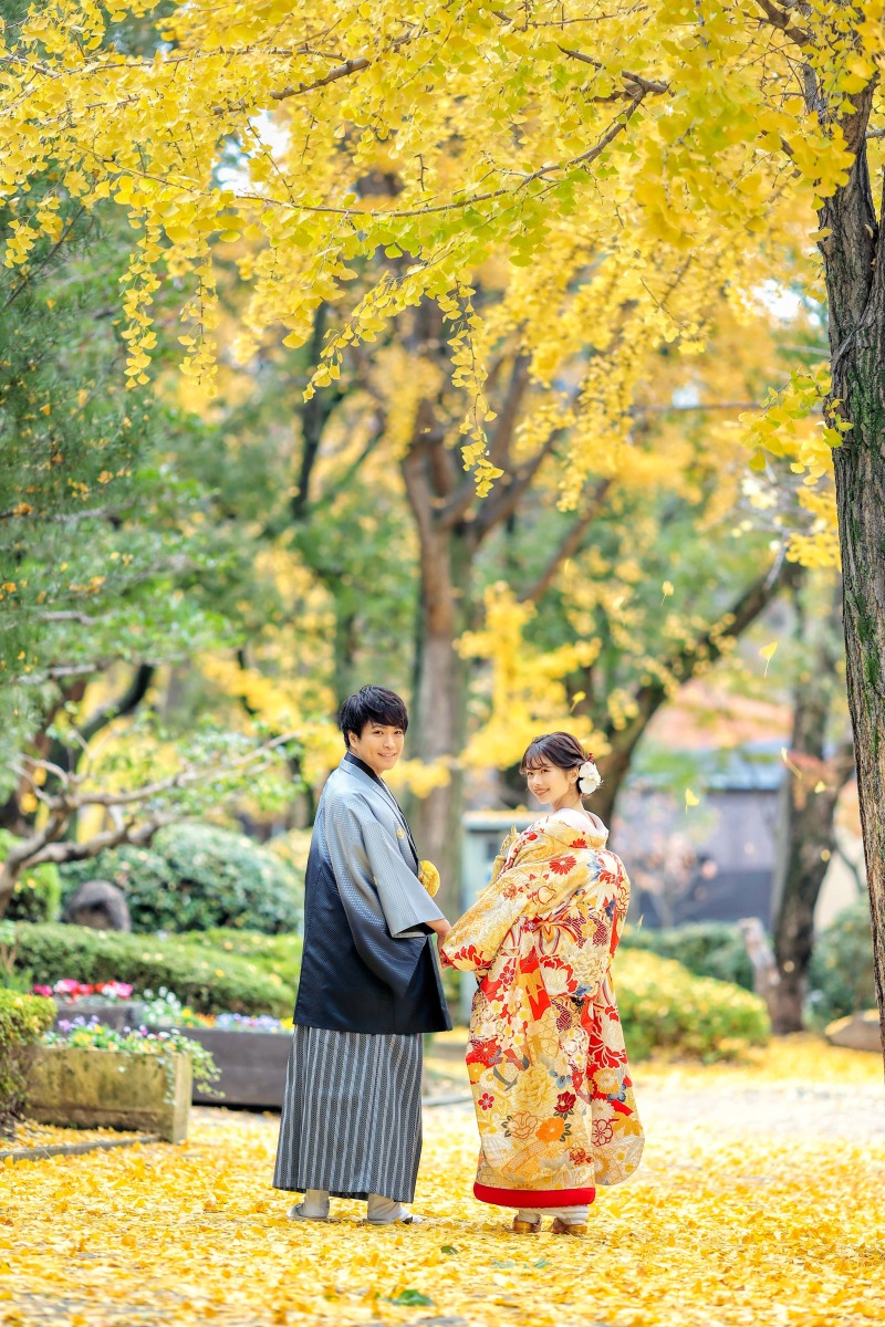 イチョウの木で秋らしく