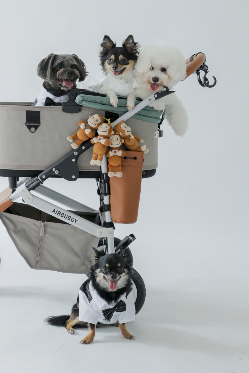 ワンちゃんショット