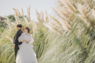 秋のススキロケーション