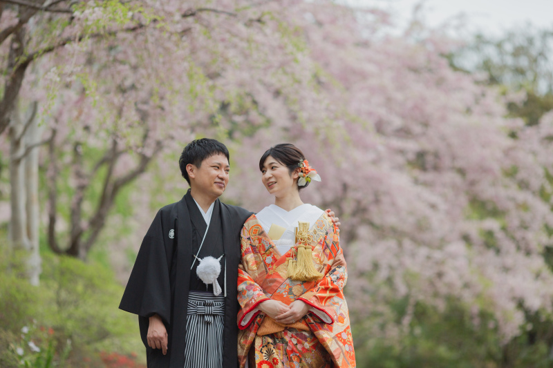 降り注ぐように咲く桜をバックに