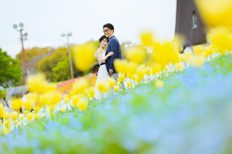 花壇の写真その2