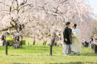 初夏を感じる春の大仙