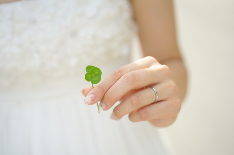 四葉のクローバー発見！！