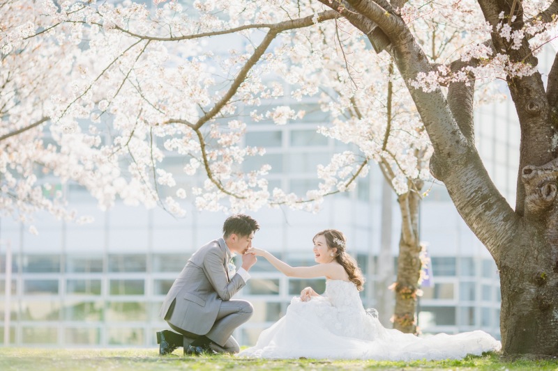 満開の桜の木の下で。