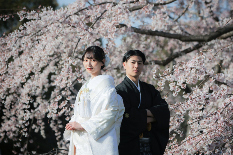 大仙公園桜ロケーション