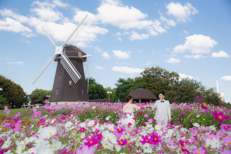 コスモス満開!夢の様なロケ撮影in鶴見緑地