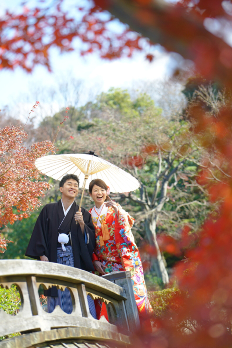 紅葉ハイシーズン！