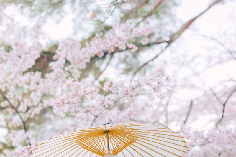 イメージカット