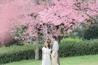 鶴見緑地公園 桜開花！