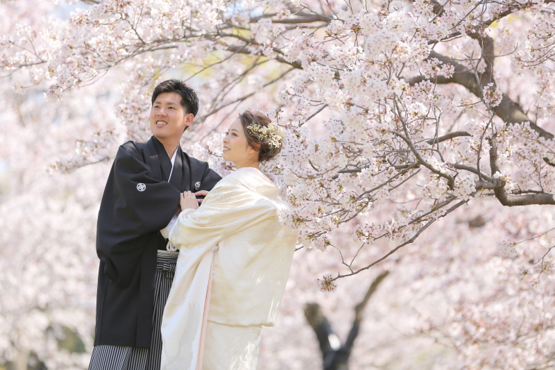 いよいよ春!桜シーズンがやって来た♪