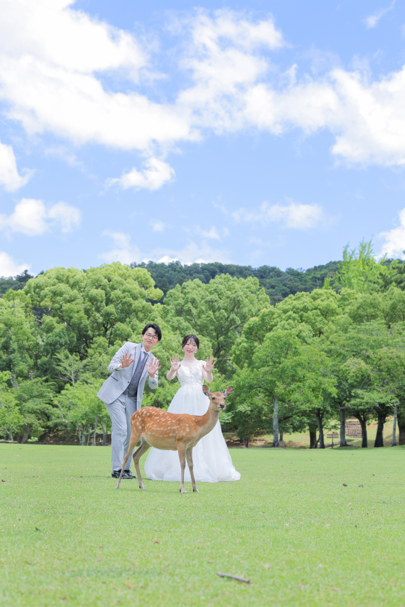 春日野園地・若草山ロケーション!